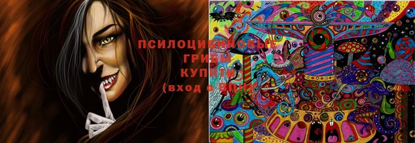 синтетический гашиш Вяземский