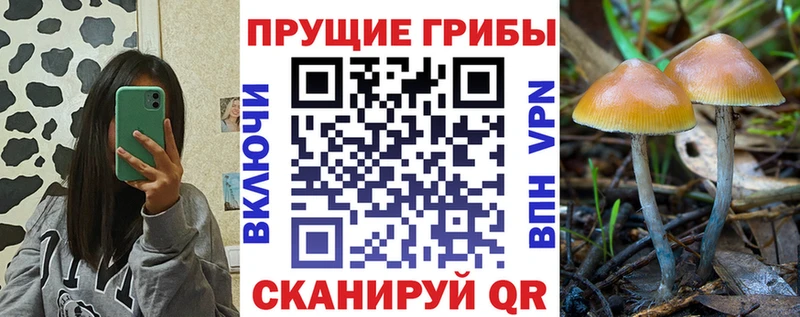Галлюциногенные грибы Magic Shrooms  Купить закладки  Крымск 